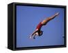Woman Diver Flying Through the Air-null-Framed Stretched Canvas