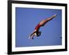 Woman Diver Flying Through the Air-null-Framed Photographic Print
