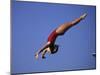 Woman Diver Flying Through the Air-null-Mounted Photographic Print