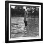 Woman Diving into a Swimming Pool, 20th Century-null-Framed Giclee Print