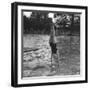 Woman Diving into a Swimming Pool, 20th Century-null-Framed Giclee Print