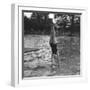 Woman Diving into a Swimming Pool, 20th Century-null-Framed Giclee Print