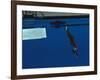 Woman Diving Off the Springboard-null-Framed Photographic Print