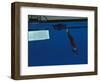 Woman Diving Off the Springboard-null-Framed Photographic Print