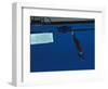 Woman Diving Off the Springboard-null-Framed Photographic Print