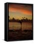 Woman Doing Yoga in Water at Sunset, Tahiti-Barry Winiker-Framed Stretched Canvas