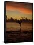 Woman Doing Yoga in Water at Sunset, Tahiti-Barry Winiker-Framed Stretched Canvas