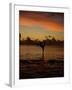 Woman Doing Yoga in Water at Sunset, Tahiti-Barry Winiker-Framed Premium Photographic Print