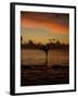 Woman Doing Yoga in Water at Sunset, Tahiti-Barry Winiker-Framed Premium Photographic Print