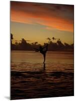 Woman Doing Yoga in Water at Sunset, Tahiti-Barry Winiker-Mounted Premium Photographic Print