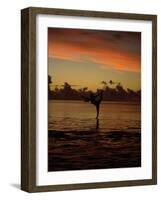 Woman Doing Yoga in Water at Sunset, Tahiti-Barry Winiker-Framed Photographic Print