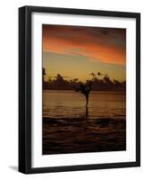 Woman Doing Yoga in Water at Sunset, Tahiti-Barry Winiker-Framed Photographic Print