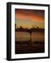 Woman Doing Yoga in Water at Sunset, Tahiti-Barry Winiker-Framed Photographic Print