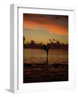 Woman Doing Yoga in Water at Sunset, Tahiti-Barry Winiker-Framed Photographic Print