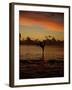 Woman Doing Yoga in Water at Sunset, Tahiti-Barry Winiker-Framed Photographic Print