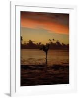 Woman Doing Yoga in Water at Sunset, Tahiti-Barry Winiker-Framed Photographic Print