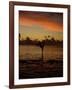 Woman Doing Yoga in Water at Sunset, Tahiti-Barry Winiker-Framed Photographic Print