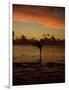 Woman Doing Yoga in Water at Sunset, Tahiti-Barry Winiker-Framed Photographic Print