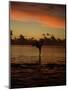 Woman Doing Yoga in Water at Sunset, Tahiti-Barry Winiker-Mounted Photographic Print