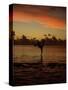 Woman Doing Yoga in Water at Sunset, Tahiti-Barry Winiker-Stretched Canvas