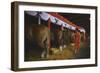 Woman Dressed in Red Walking Past Stalls of Clydesdale Horses at the Iowa State Fair, 1955-John Dominis-Framed Photographic Print