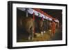 Woman Dressed in Red Walking Past Stalls of Clydesdale Horses at the Iowa State Fair, 1955-John Dominis-Framed Photographic Print