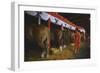 Woman Dressed in Red Walking Past Stalls of Clydesdale Horses at the Iowa State Fair, 1955-John Dominis-Framed Photographic Print