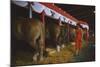 Woman Dressed in Red Walking Past Stalls of Clydesdale Horses at the Iowa State Fair, 1955-John Dominis-Mounted Photographic Print