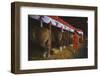 Woman Dressed in Red Walking Past Stalls of Clydesdale Horses at the Iowa State Fair, 1955-John Dominis-Framed Photographic Print