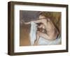 Woman Drying Her Arm, Circa 1884-Edgar Degas-Framed Giclee Print