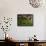 Woman Drying Tea Leaves at Geragama Tea Estate, Near Kandy, Sri Lanka, Asia-Peter Barritt-Framed Stretched Canvas displayed on a wall