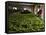 Woman Drying Tea Leaves at Geragama Tea Estate, Near Kandy, Sri Lanka, Asia-Peter Barritt-Framed Stretched Canvas