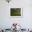 Woman Drying Tea Leaves at Geragama Tea Estate, Near Kandy, Sri Lanka, Asia-Peter Barritt-Framed Photographic Print displayed on a wall