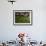 Woman Drying Tea Leaves at Geragama Tea Estate, Near Kandy, Sri Lanka, Asia-Peter Barritt-Framed Photographic Print displayed on a wall