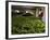 Woman Drying Tea Leaves at Geragama Tea Estate, Near Kandy, Sri Lanka, Asia-Peter Barritt-Framed Photographic Print