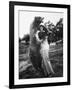 Woman Embraces a Stuffed Bear, Ca. 1940-null-Framed Photographic Print