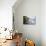 Woman Enjoying a Drink in a Harbourside Taverna, Poros, Kefalonia, Greece-Peter Thompson-Photographic Print displayed on a wall