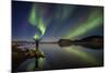 Woman Enjoying the View of the Northern Lights, at Lake Thingvellir, Iceland-null-Mounted Photographic Print