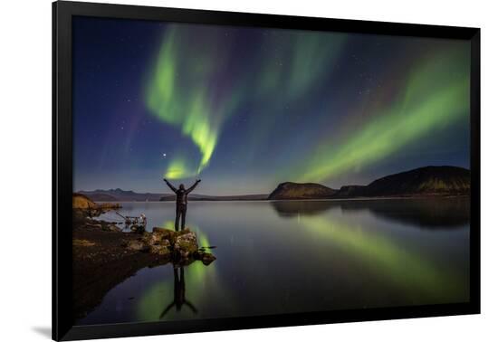 Premium Photographic Print, , large