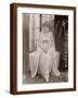 Brown Frame