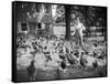 Woman Feeds Chickens from Bucket-Philip Gendreau-Framed Stretched Canvas