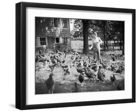 Woman Feeds Chickens from Bucket-Philip Gendreau-Framed Photographic Print