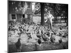 Woman Feeds Chickens from Bucket-Philip Gendreau-Mounted Photographic Print