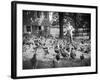 Woman Feeds Chickens from Bucket-Philip Gendreau-Framed Photographic Print