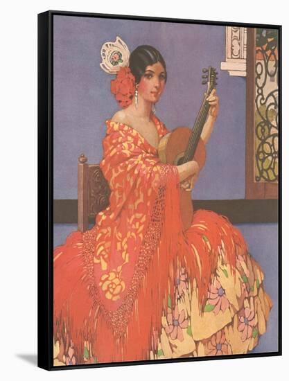 Woman Flamenco Guitarist-null-Framed Stretched Canvas