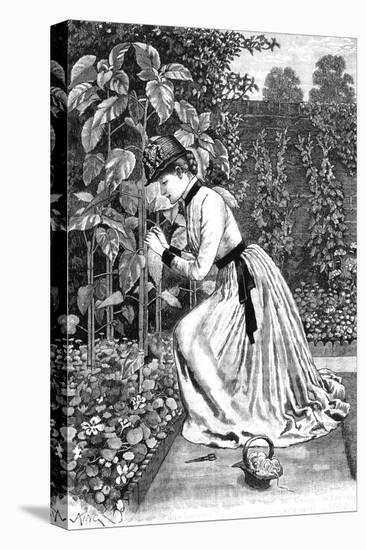 Woman Gardening in a Garden-J King-Stretched Canvas