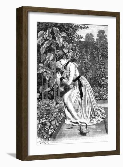 Woman Gardening in a Garden-J King-Framed Art Print