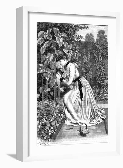 Woman Gardening in a Garden-J King-Framed Art Print