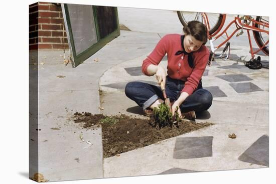 Woman Gardening-William P. Gottlieb-Stretched Canvas