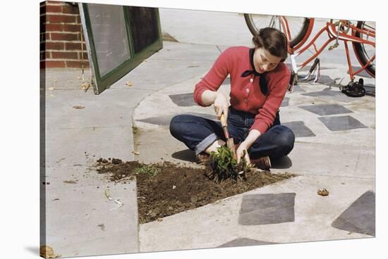 Woman Gardening-William P. Gottlieb-Stretched Canvas